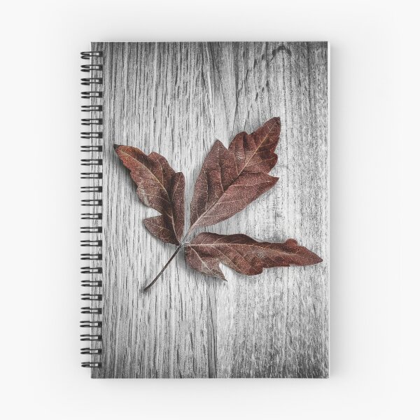 Item preview, Maple Leaf designed and sold by Nigel R Bell Photography.