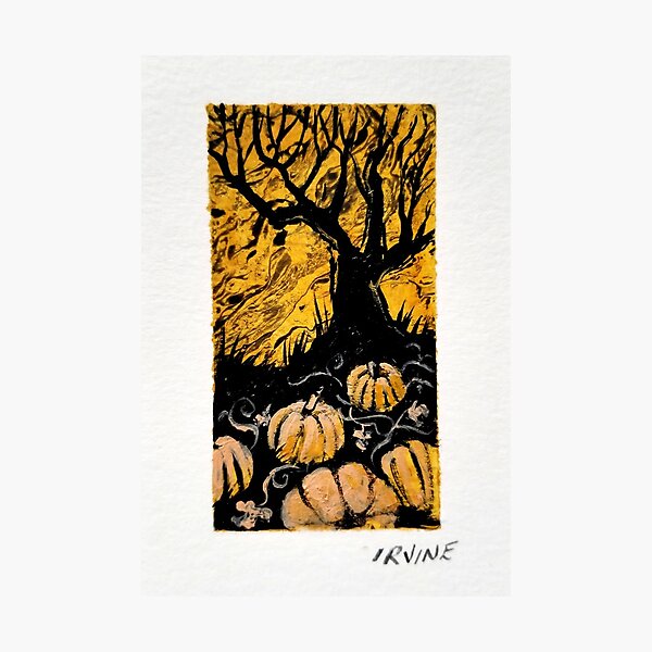 Pumpkin Patch Photographic Print