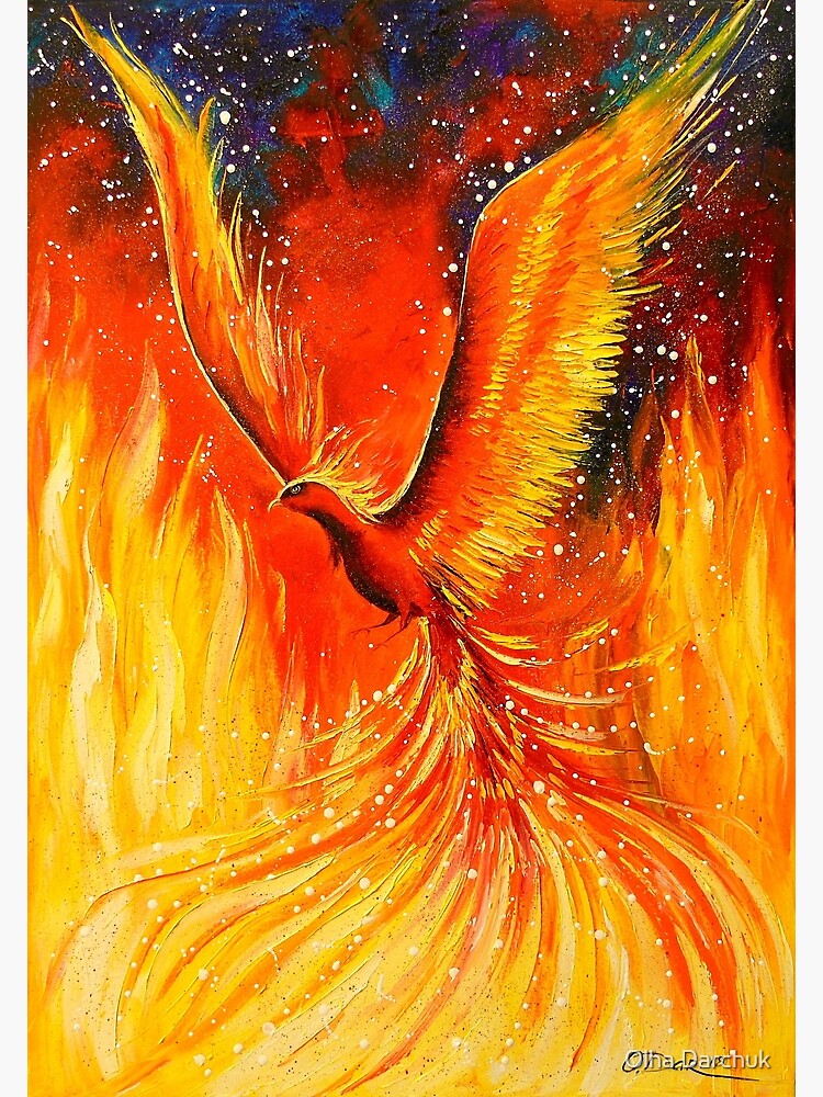Phoenix by Olyha