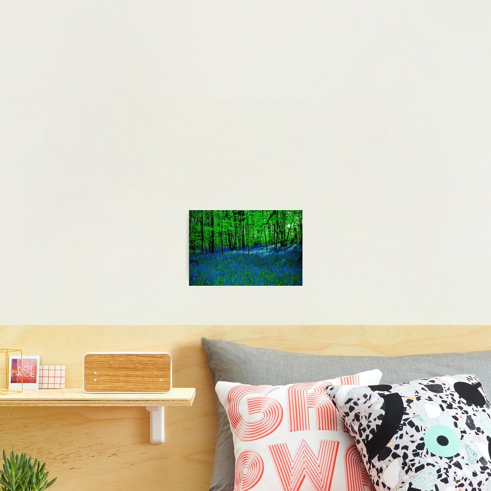 Item preview, Photographic Print designed and sold by jakeof.
