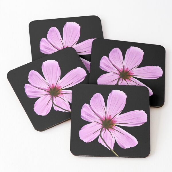 Item preview, Pink Cosmos designed and sold by Frankie Cat Photography.