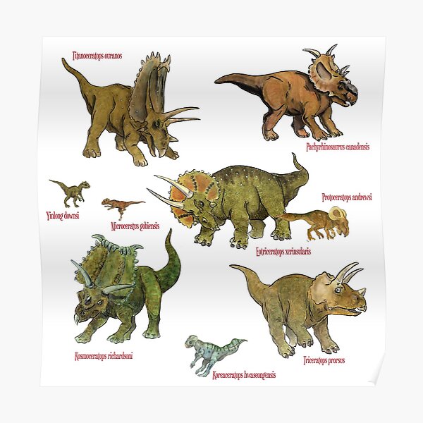 dinosaur triceratops family