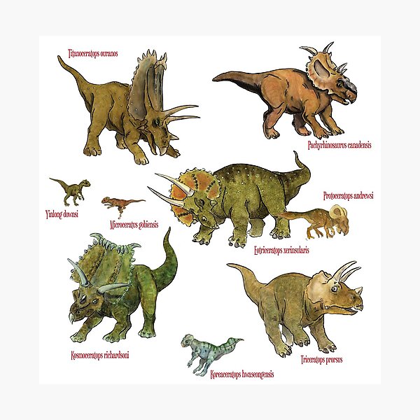 dinosaurs like the triceratops