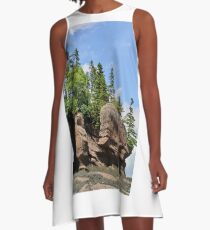 Hopewell Rock Formations, New Brunswick Canada A-Line Dress