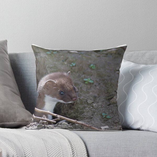 Item preview, Stoat in the Hole designed and sold by GrahamCSmith.