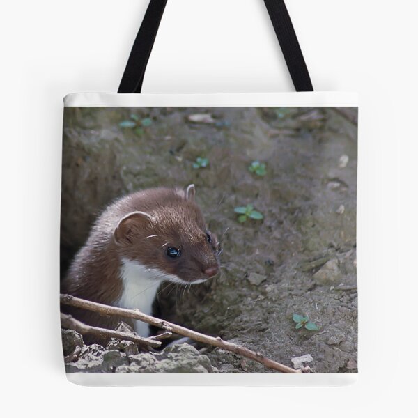 Item preview, Stoat in the Hole designed and sold by GrahamCSmith.