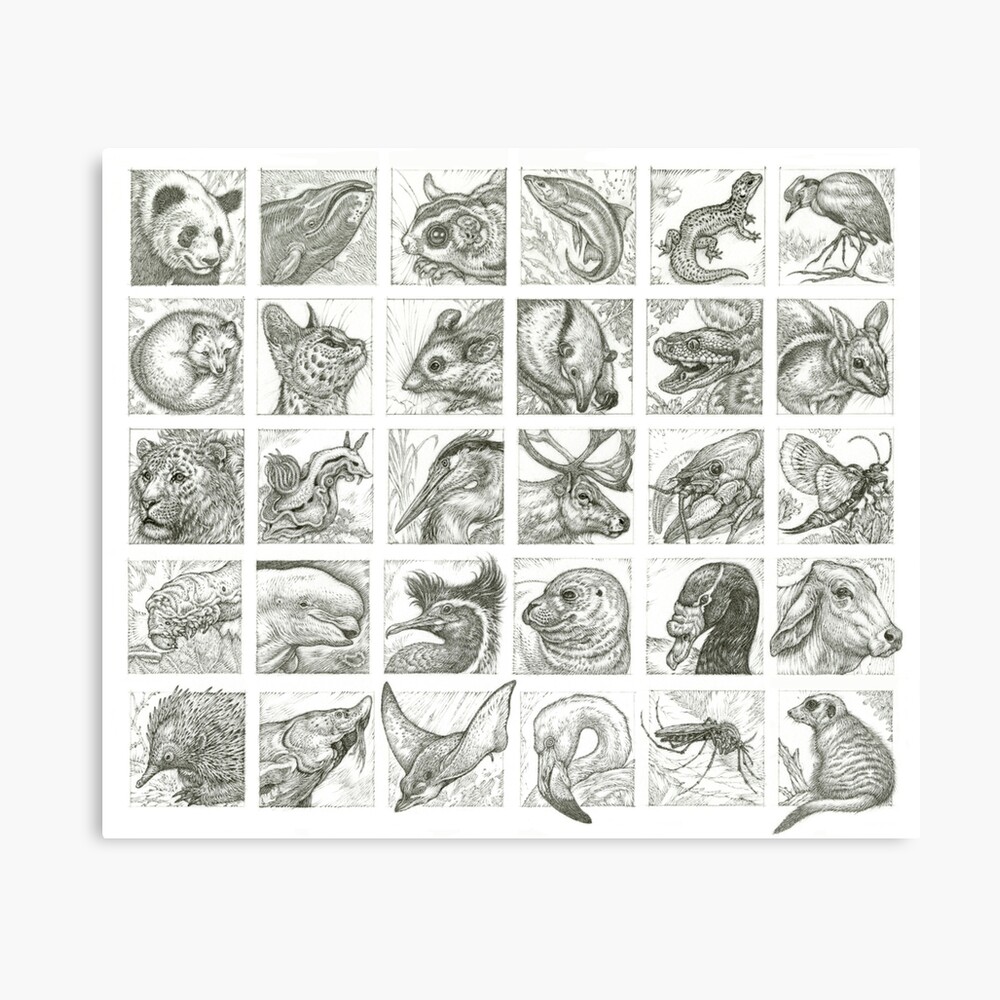 Deinocheirus Art Board Print for Sale by Julio Lacerda