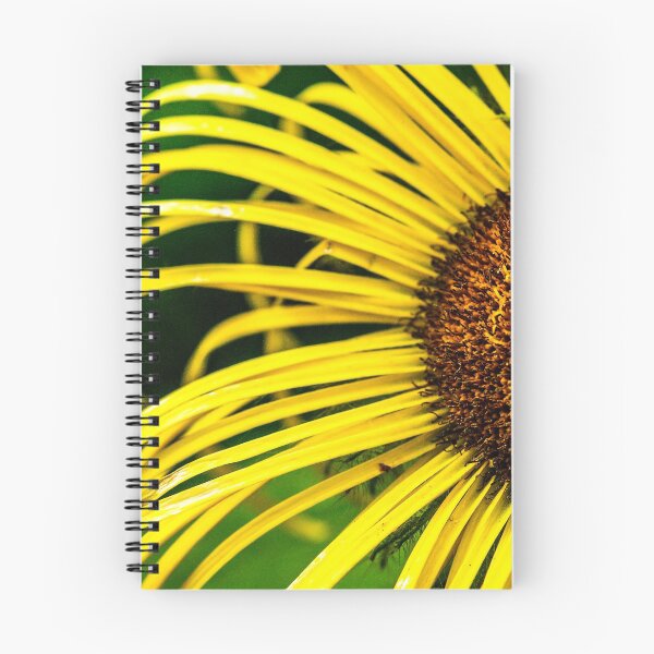 Item preview, Sunflower designed and sold by darrenturner.