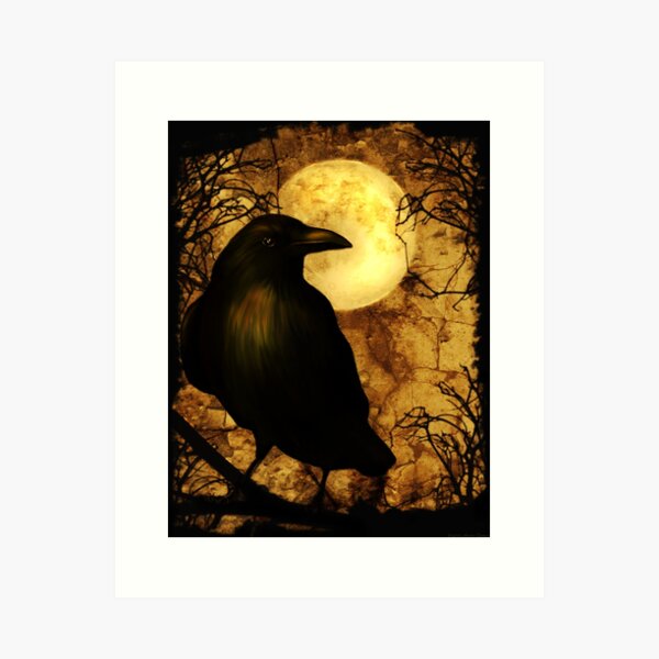 Australian Art High Quality Art Print on Knight Hammer 350gsm Paper // Melbourne Made Raven Art Print