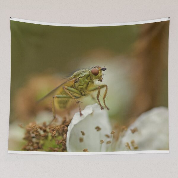 Item preview, THERE BE NO DRAGONS..! designed and sold by NICK COBURN PHILLIPS.