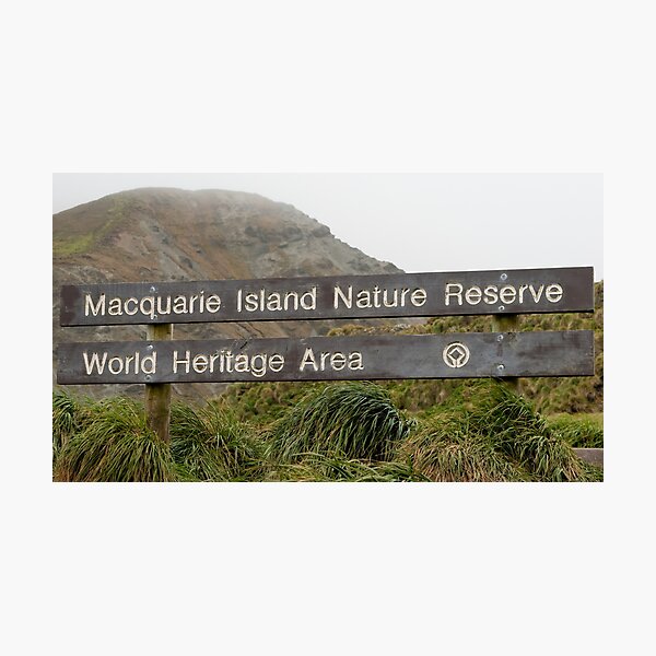 Item preview, Macquarie Island Sign designed and sold by Phill Danze.