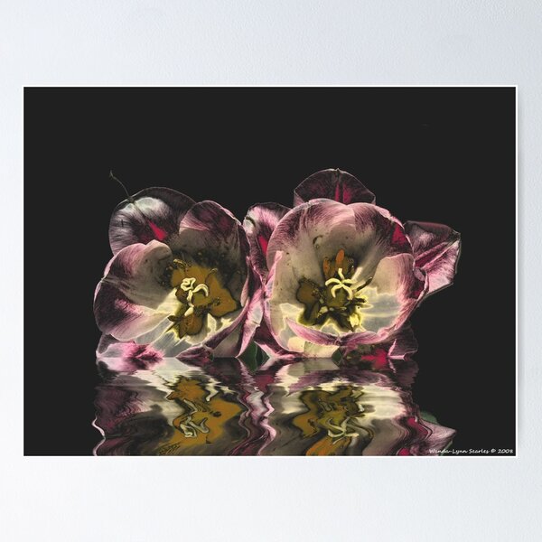 Item preview, My Creation  designed and sold by Wanda-Lynn.
