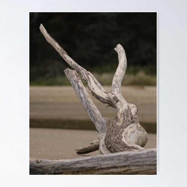 Item preview, Beached designed and sold by Russell Jenkins.