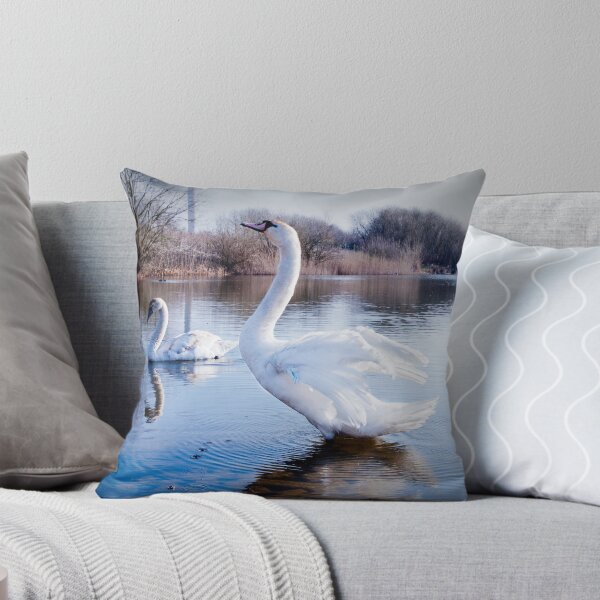 Item preview, Swan, early morning stretch designed and sold by Ralph Goldsmith.