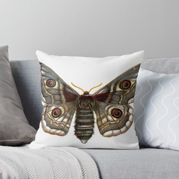 Item preview, Fat Vintage Butterfly  designed and sold by Evilninja.