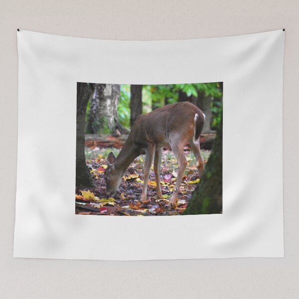 Item preview, Adular designed and sold by Scott Hayes.