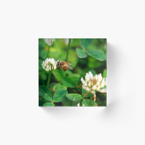 Item preview, Bee on a Flower designed and sold by georgiavsx.
