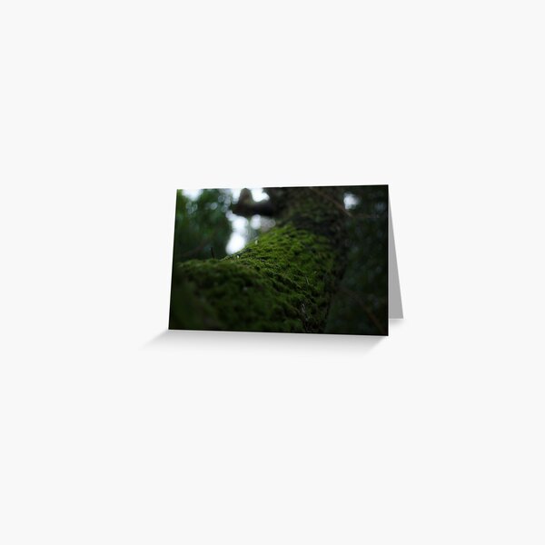 Tree branch Greeting Card