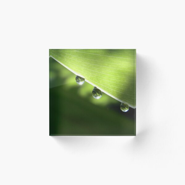 Item preview, rain designed and sold by Floralynne.