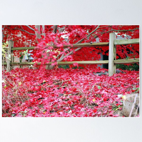 Item preview, Cascade of Crimson designed and sold by Tina Longwell.