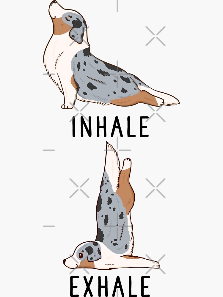 "Einatmen Ausatmen Australian Shepherd Yoga" Sticker von thepawster