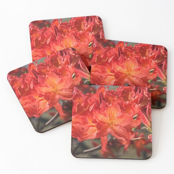 Item preview, Burnt Orange Azalea Flowers designed and sold by Joy Watson - Natural Light Photography .