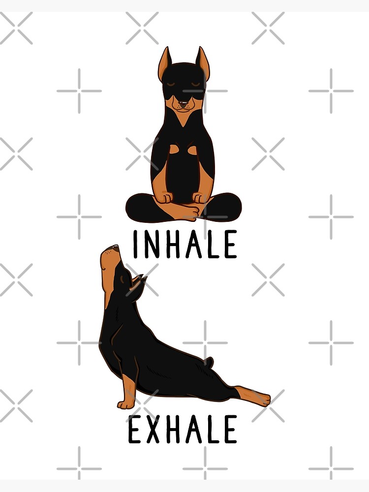 "Inhale Exhale Doberman Pinscher Yoga" Poster by thepawster Redbubble