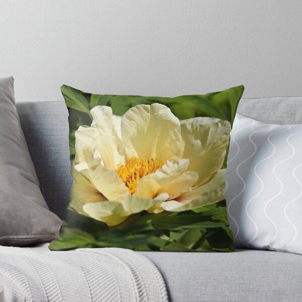 Artikelvorschau, Yellow tree peony entworfen und verkauft von PhotosByHealy.