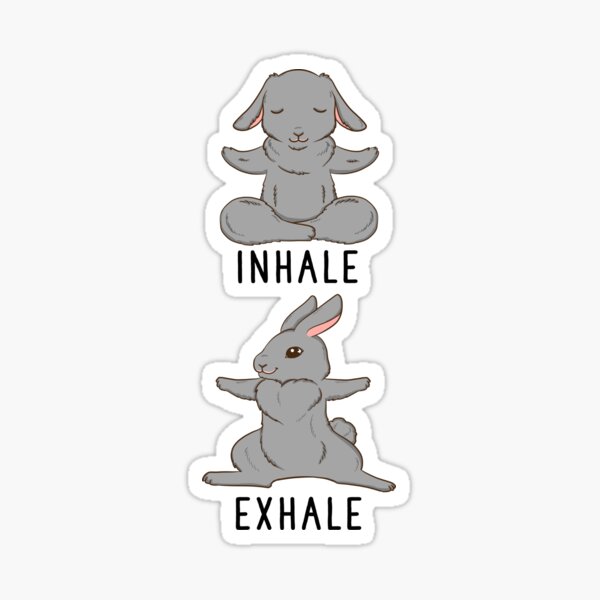 Inhale Exhale Yoga Sticker – Big Moods