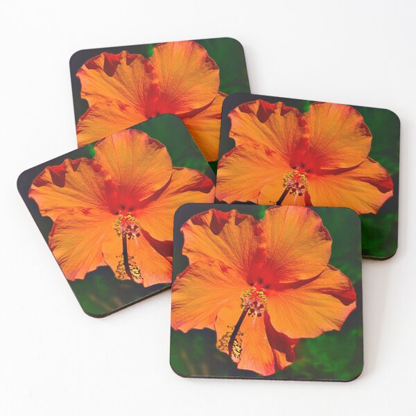 Item preview, Orange Delight designed and sold by Margaret Stevens.
