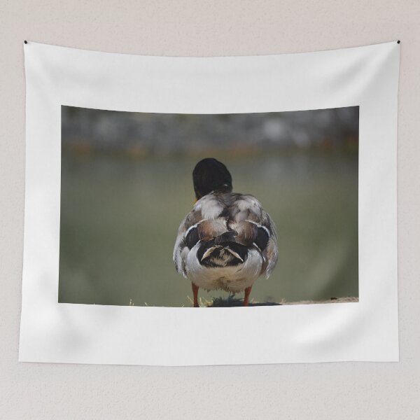 Item preview, The Waiting Duck designed and sold by absurdphotos.