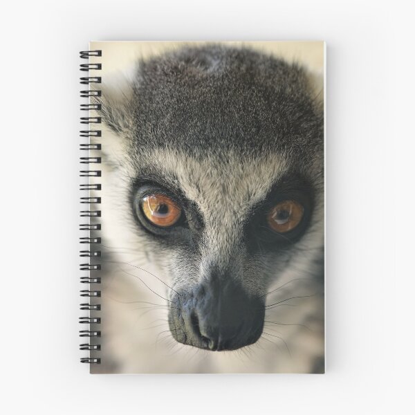 Item preview, Lemurs Gaze  designed and sold by Helen  Kelly.
