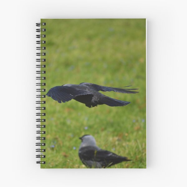 Item preview, Duo Landing designed and sold by absurdphotos.