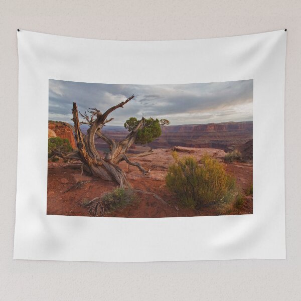 Item preview, The Trees Of Dead Horse Point - 1 © designed and sold by © Hany G. Jadaa © Prince John Photography.