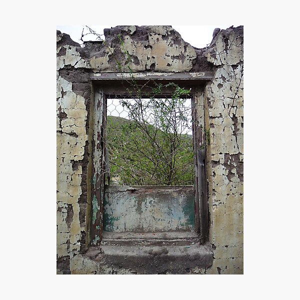 Letting the outdoors in Photographic Print