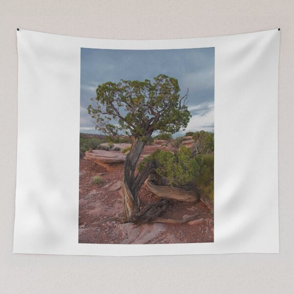 Item preview, The Trees Of Dead Horse Point - 2 ©  designed and sold by © Hany G. Jadaa © Prince John Photography.