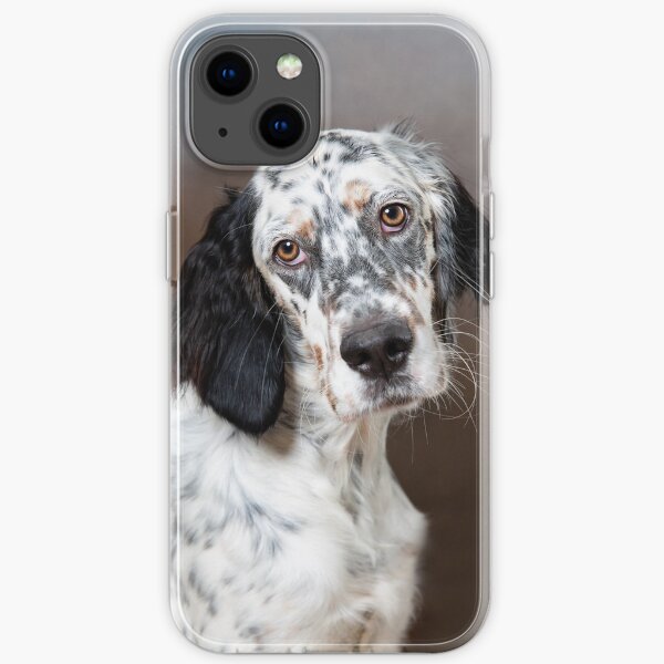 English Setter Iphone Cases Redbubble