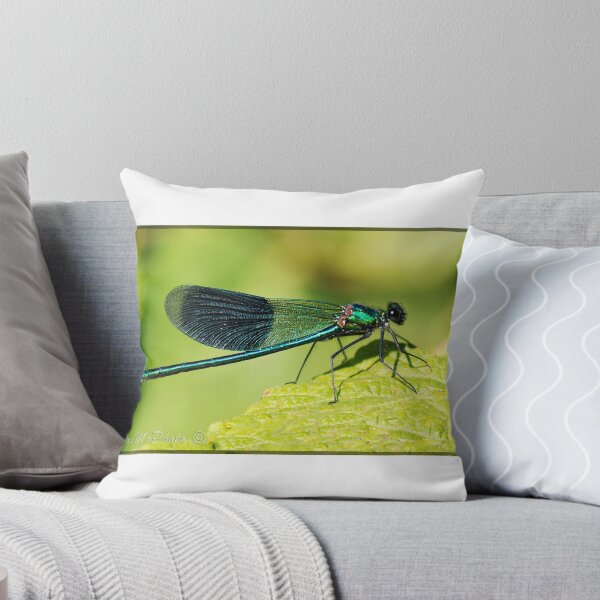 Item preview, Banded Demoiselle (Male) designed and sold by DonMc.