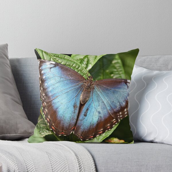 Item preview, Blue Morpho designed and sold by PhotosByHealy.