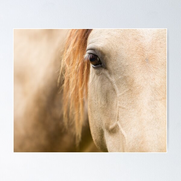 Item preview, Gentle Soul designed and sold by Kristi Johnson.