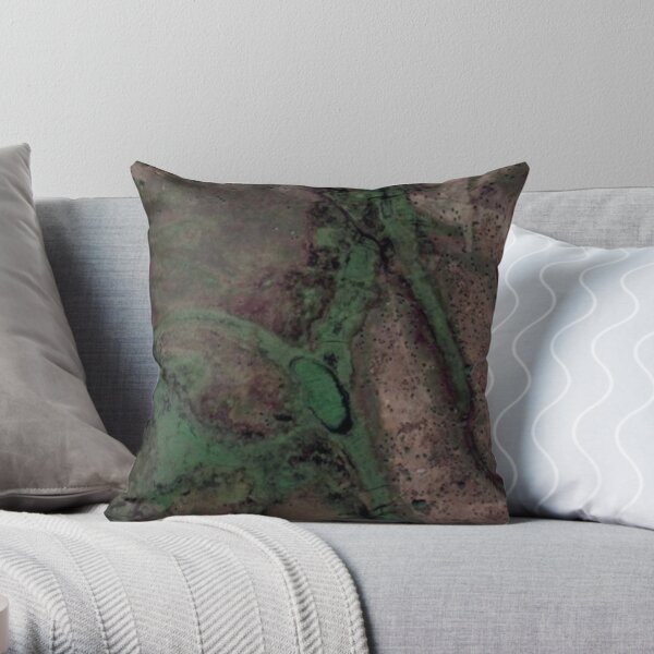 Google Maps - New perspective 9 Throw Pillow