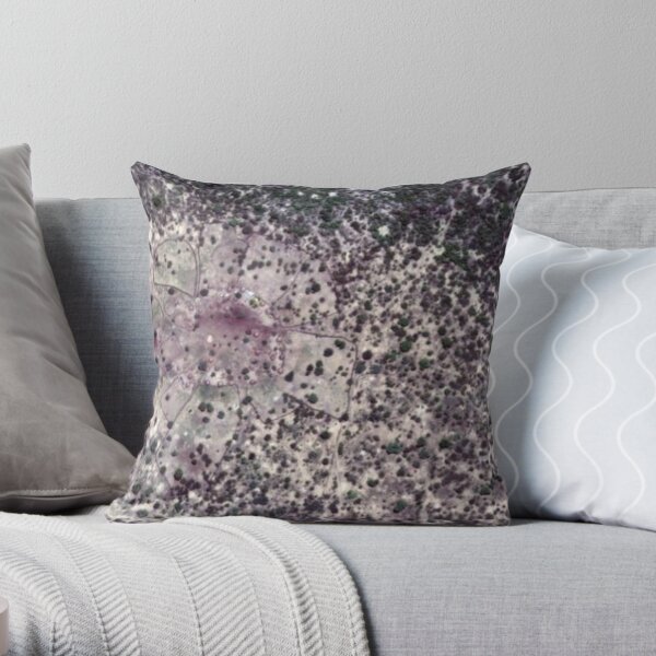 Google Maps - New perspective 11 Throw Pillow