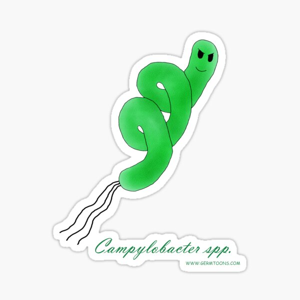 Item preview, Cartoon Campylobacter spp. designed and sold by MATAL.