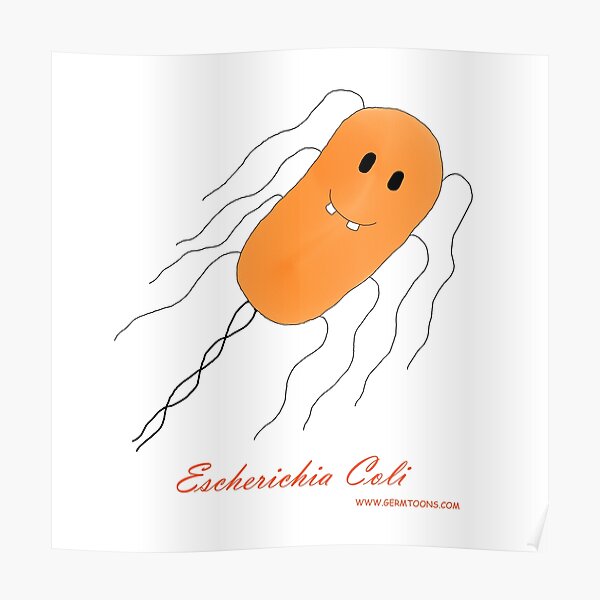 E Coli Cartoon Escherichia Coli Bacterium Poster By Matal Redbubble