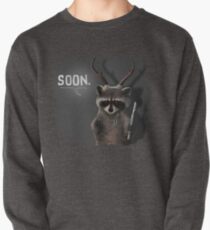 Soon Racoon Pullover