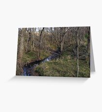 Our Creek Greeting Card