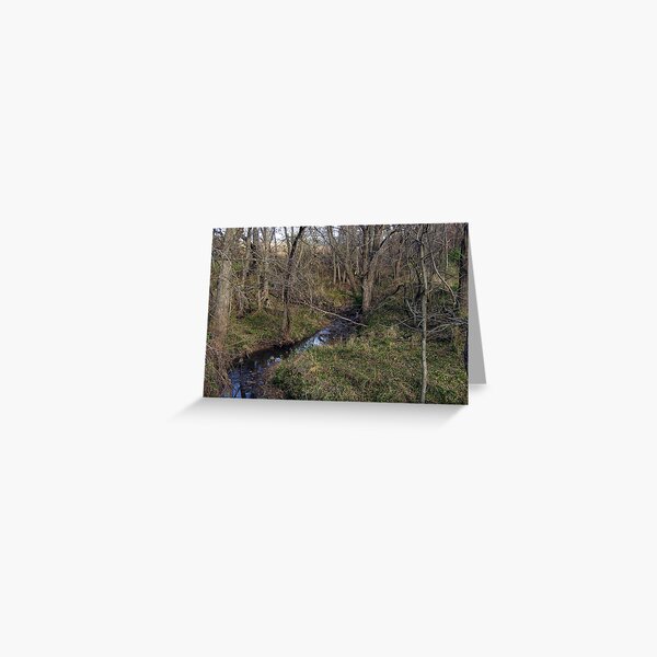 Our Creek Greeting Card