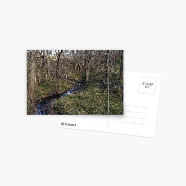 Our Creek Postcard