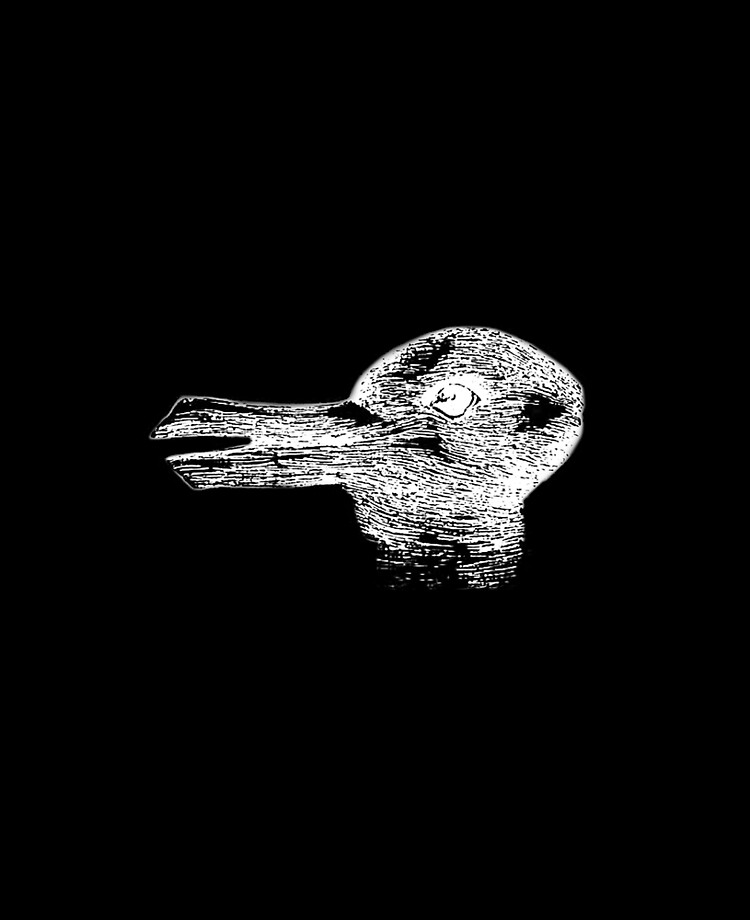 Illusion Kaninchen Ente Ist Es Ein Kaninchen Oder Ist Es Eine Ente Optische Tauschung Visuelle Tauschung Weiss Auf Schwarz Ipad Hulle Skin Von Tomsredbubble Redbubble