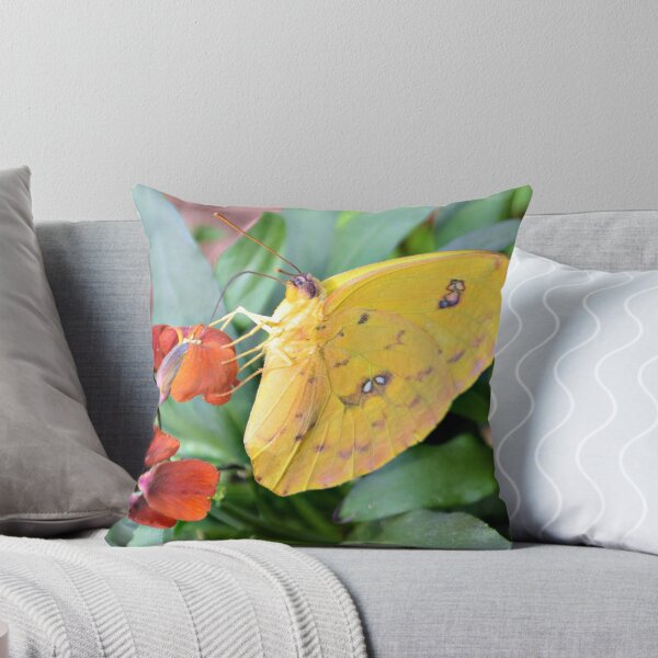 Item preview, Clouded Yellow Butterfly designed and sold by What I See by Dawne.